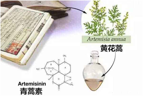 万象城：向中医药看齐，与世界共享中医药文化(图1)